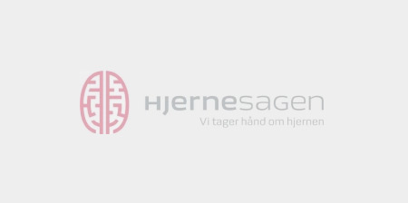 Din fantastiske hjerne – Pas på den